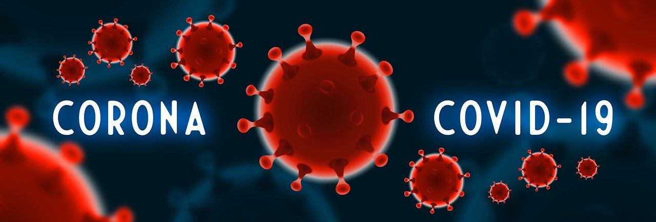 Nourrir son système immunitaire pour lutter contre le coronavirus