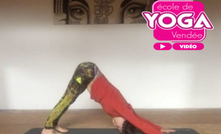 Vidéo gratuite 52m de cours de yoga dynamique proposé par Maud Chevallier et l&#…